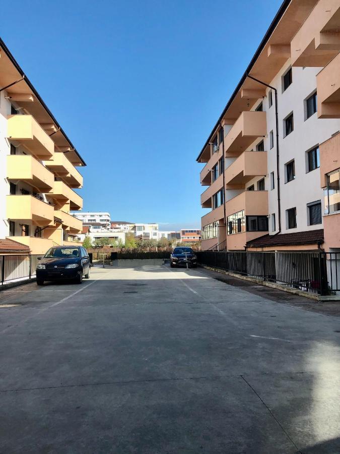 Garsoniera- Bulevard Dem Radulescu Рымнику-Вылча Экстерьер фото